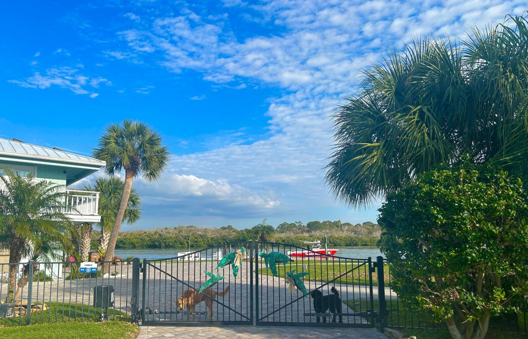 Guest Suite - Waterfront -Pool & Hot Tub- Walk To Beach Clearwater Beach Kültér fotó